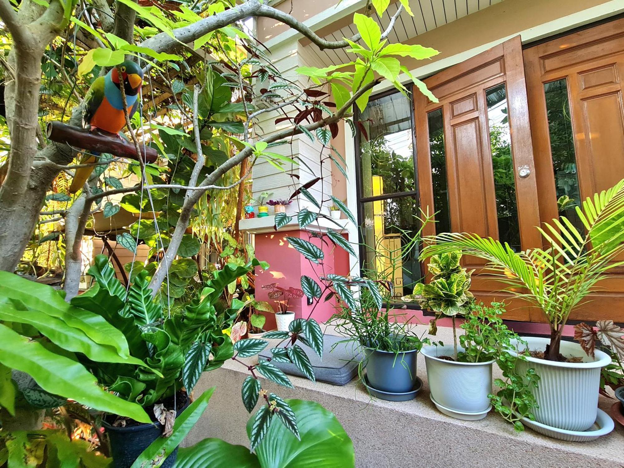 Bed And Terrace Guesthouse Чиангмай Номер фото